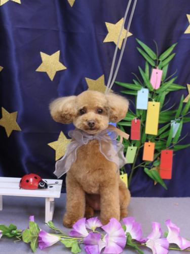 20230707めるちゃん